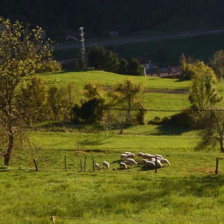 Apartma Zala Most Na Soci Luaran gambar
