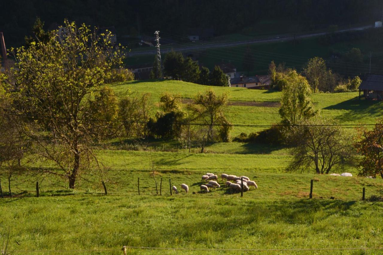 Apartma Zala Most Na Soci Luaran gambar