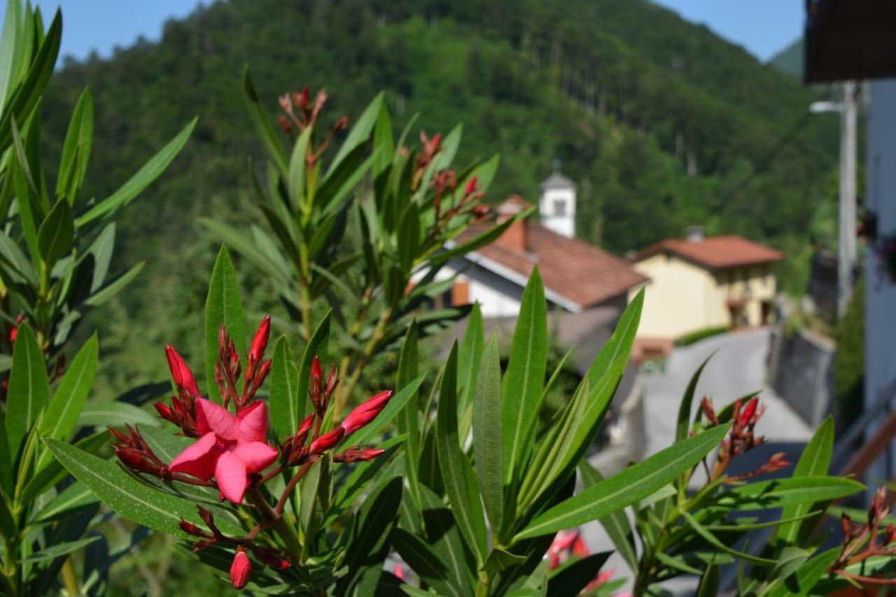 Apartma Zala Most Na Soci Luaran gambar