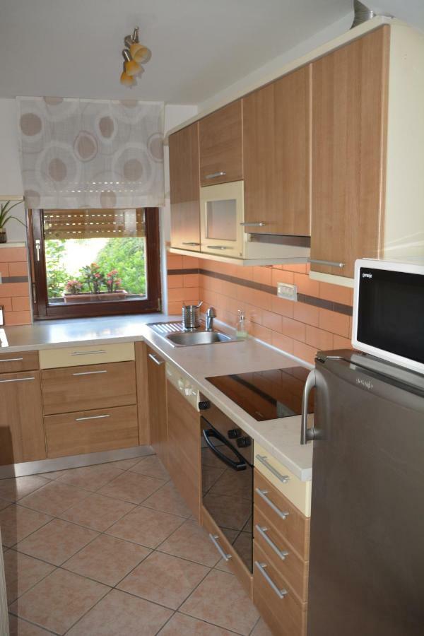 Apartma Zala Most Na Soci Luaran gambar