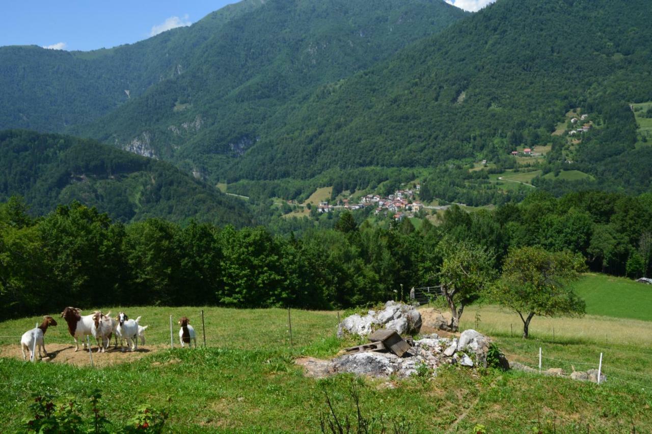 Apartma Zala Most Na Soci Luaran gambar